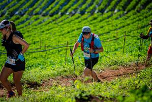 BIB: 
                            <button type="button" onclick="openModal(19162065)" class="btn btn-primary btn-sm float-right btn-popup" data-toggle="modal" data-target=".modal-high-quality">
                        <i class="fas fa-shopping-cart"></i> Add to Cart
                    </button>
                                            <button type="button" onclick="isThisMe(19162065, true)" class="btn btn-success btn-sm float-right btn-popup btn-isme hidden" data-toggle="tooltip" data-placement="bottom" title="นี่คือรูปของคุณใช่ไหม คลิกที่นี่เพื่อเอาเข้าอัลบั้ม">
                        <i class="fas fa-plus"></i> Add to album
                    </button>
                    <button type="button" onclick="isThisMe(19162065, false)" class="btn btn-warning btn-sm float-right btn-popup btn-isnotme hidden">
                        <i class="fas fa-ban"></i> Remove from album
                    </button>